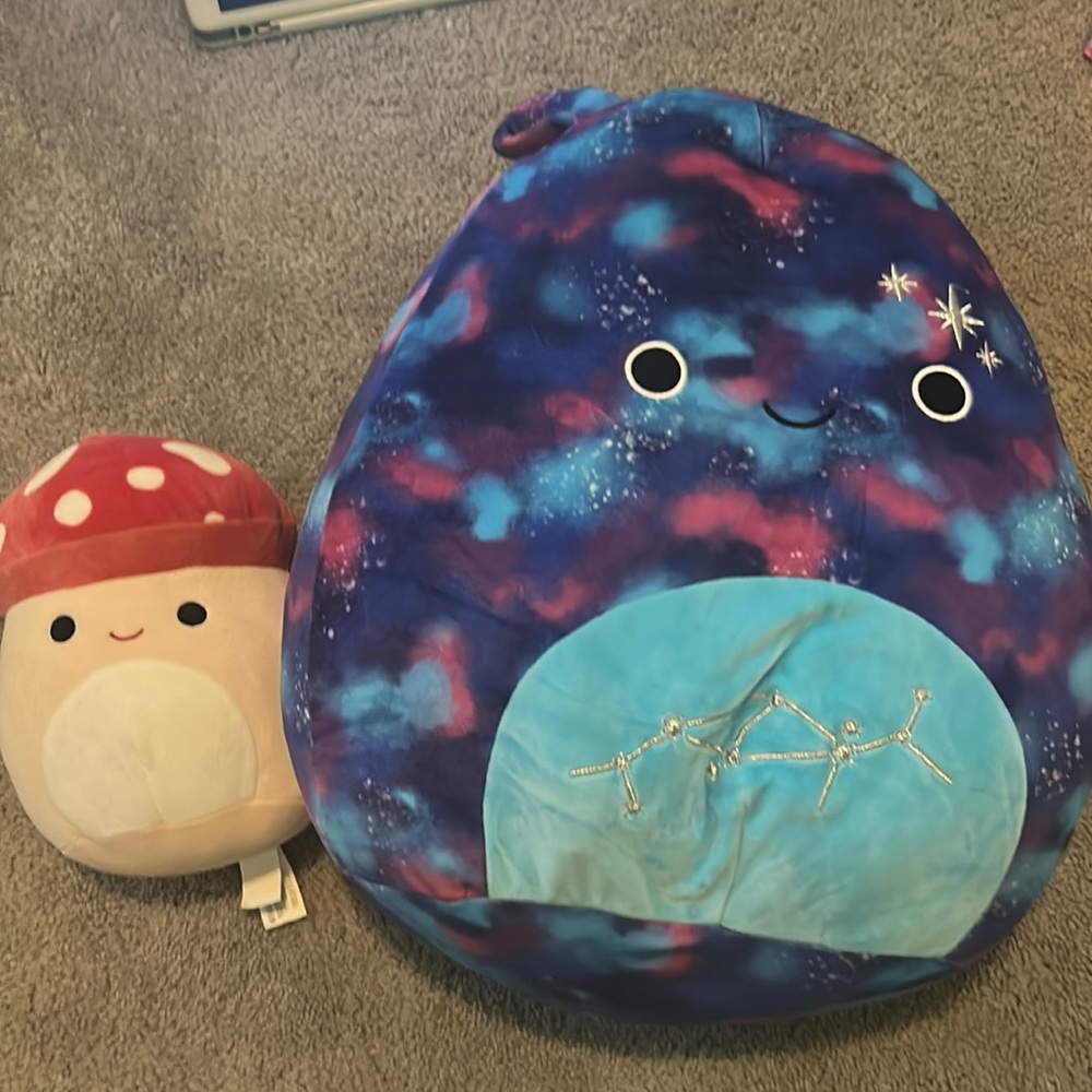 squishmallow pack! 16 inch + 8 inch!